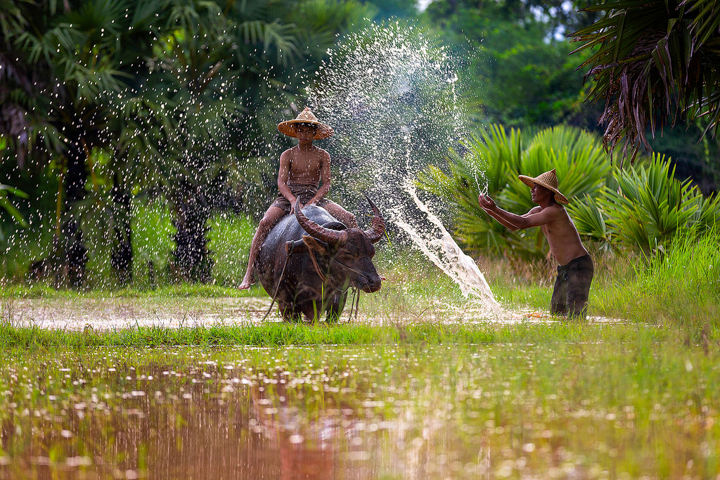 ‘Stupid’ memo highlights plight of rural&nbsp;Isaan